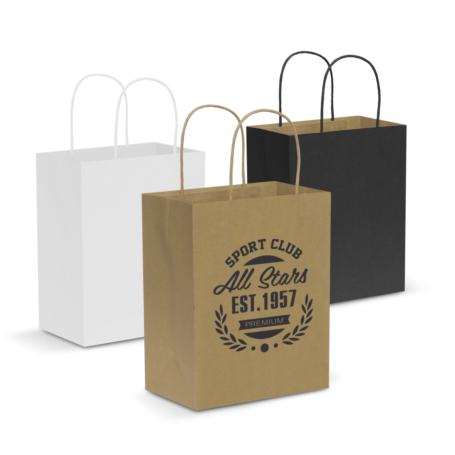 Paper Carry Bag  Medium [3-107586]