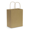 Paper Carry Bag  Medium [3-107586]