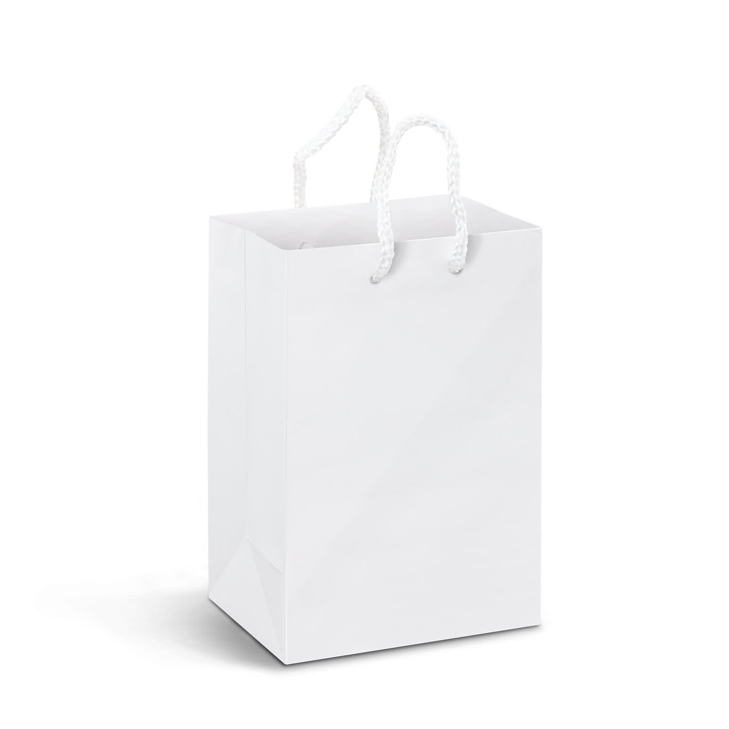 Small Laminated Paper Carry Bag  Full Colour [3-116934]