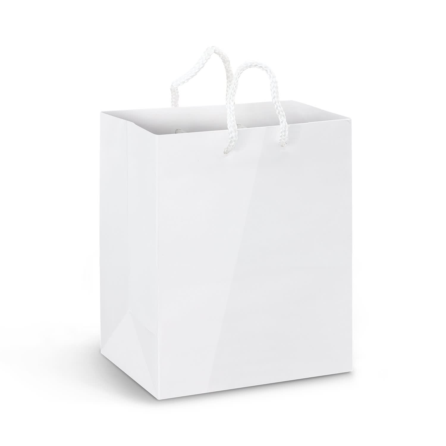 Medium Laminated Paper Carry Bag  Full Colour [3-116936]