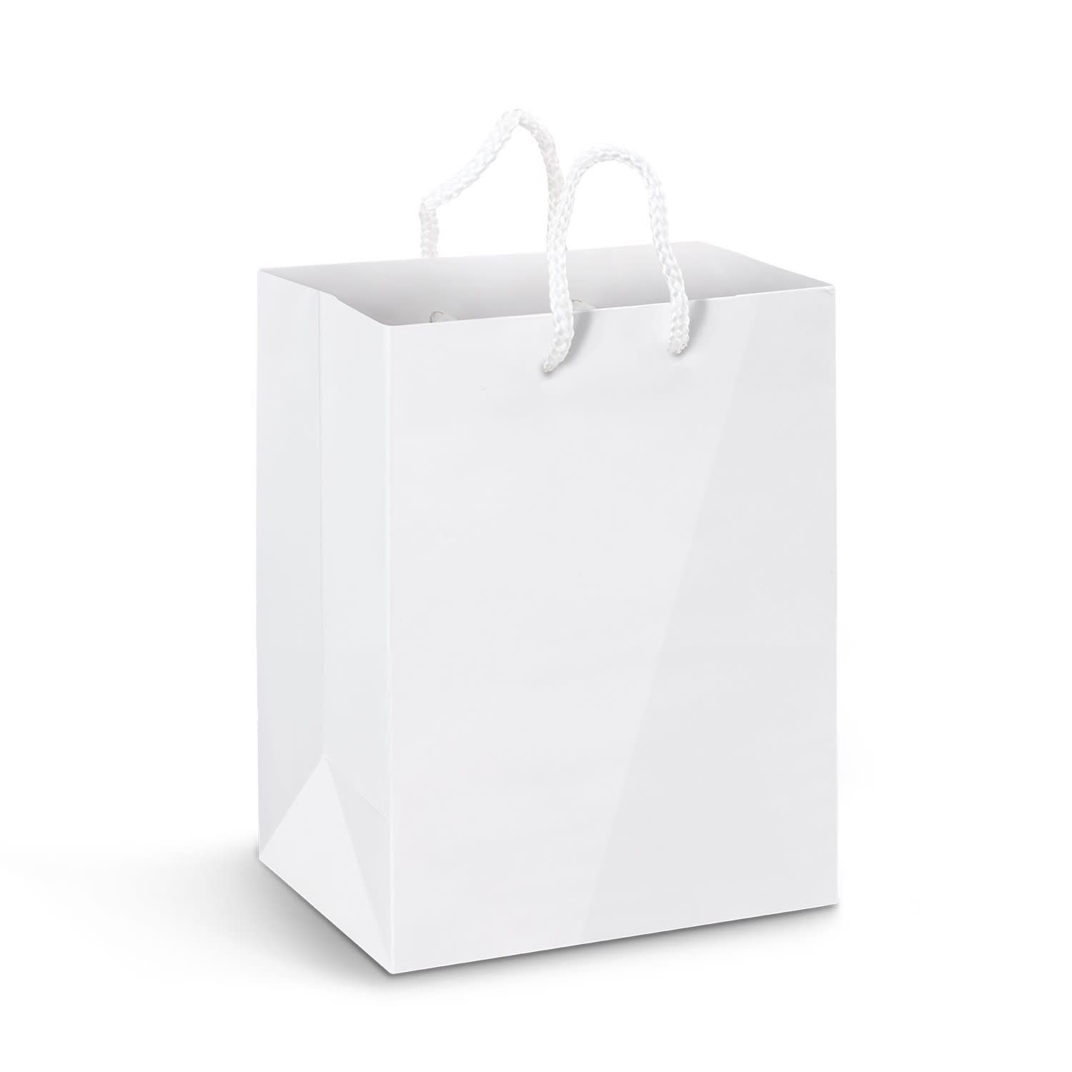 Large Laminated Paper Carry Bag  Full Colour [3-116941]