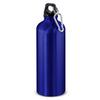 Intrepid Bottle  800ml [3-120513]