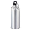 Intrepid Bottle  800ml [3-120513]