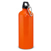 Intrepid Bottle  800ml [3-120513]