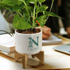 Planter with Bamboo Base [3-120901]