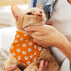Pet Bandana  Small [3-123658]