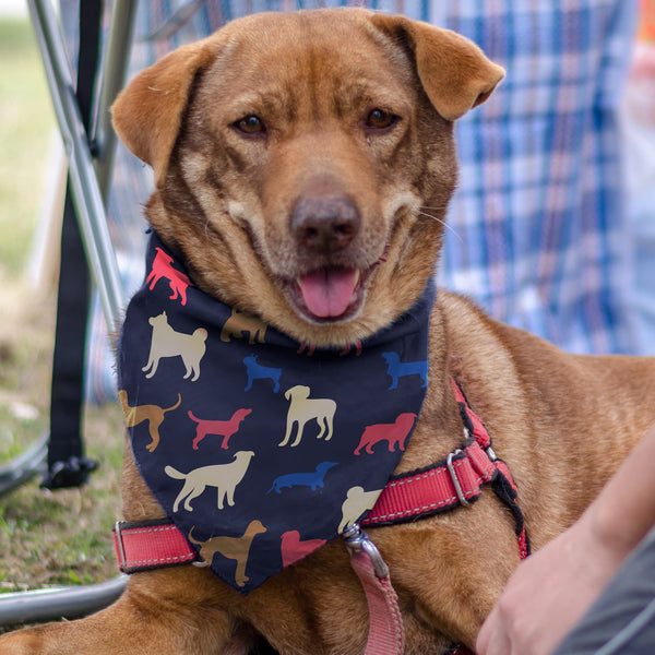 Pet Bandana  Medium [3-123659]