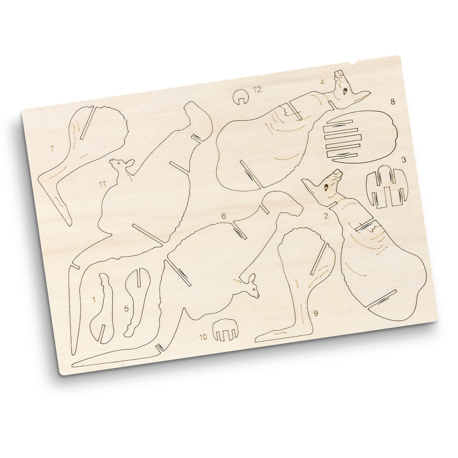 BRANDCRAFT Kangaroo Wooden Model [3-124044]