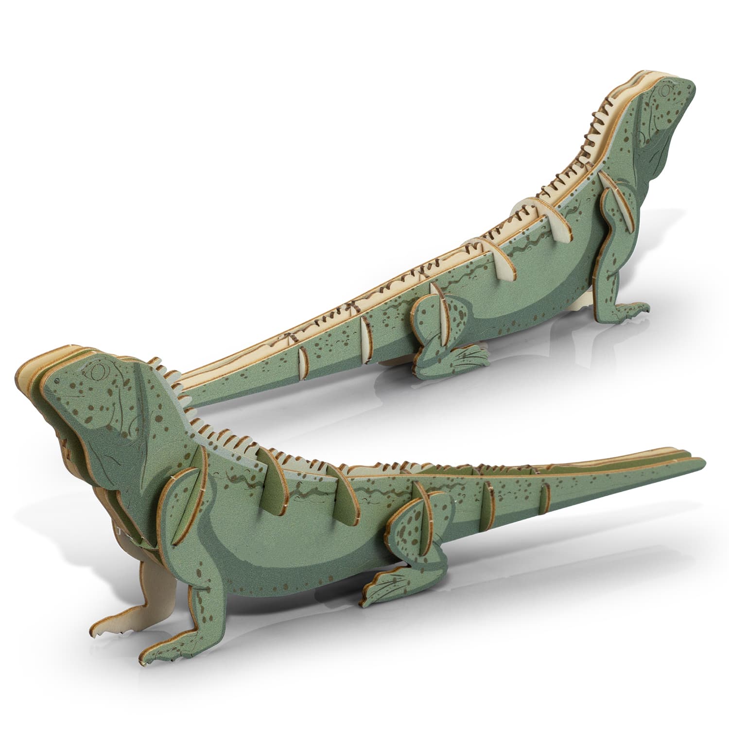 BRANDCRAFT Tuatara Wooden Model [3-124046]