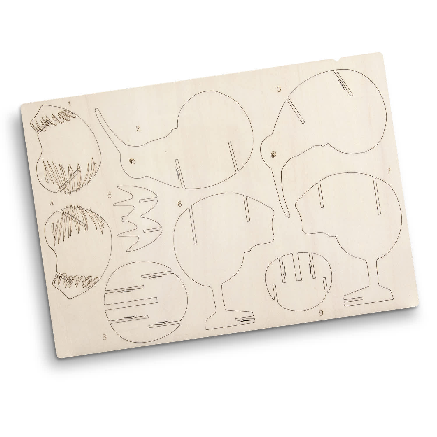 BRANDCRAFT Kiwi Wooden Model [3-124049]