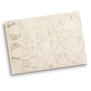 BRANDCRAFT Kiwi Wooden Model [3-124049]