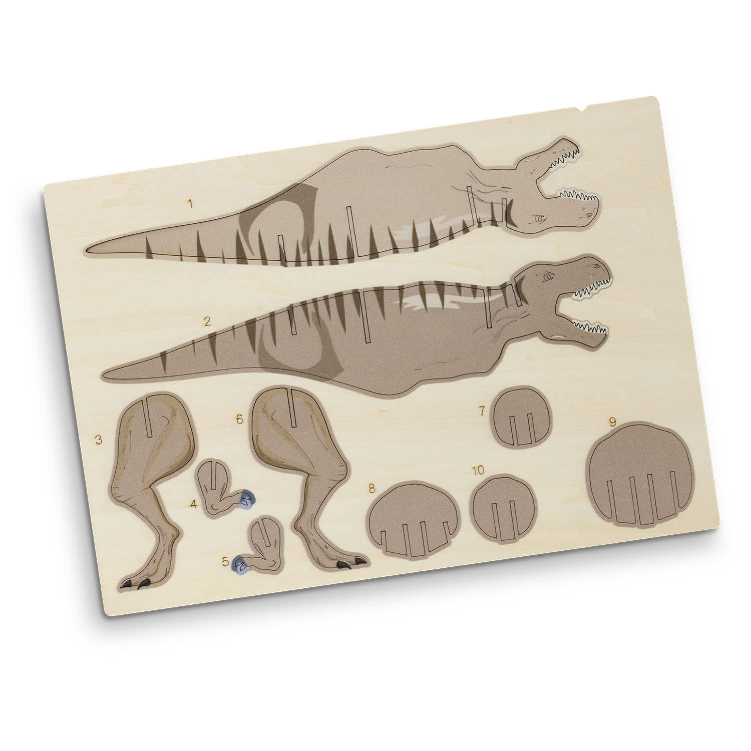 BRANDCRAFT Tyrannosaurus Rex Wooden Model [3-124055]