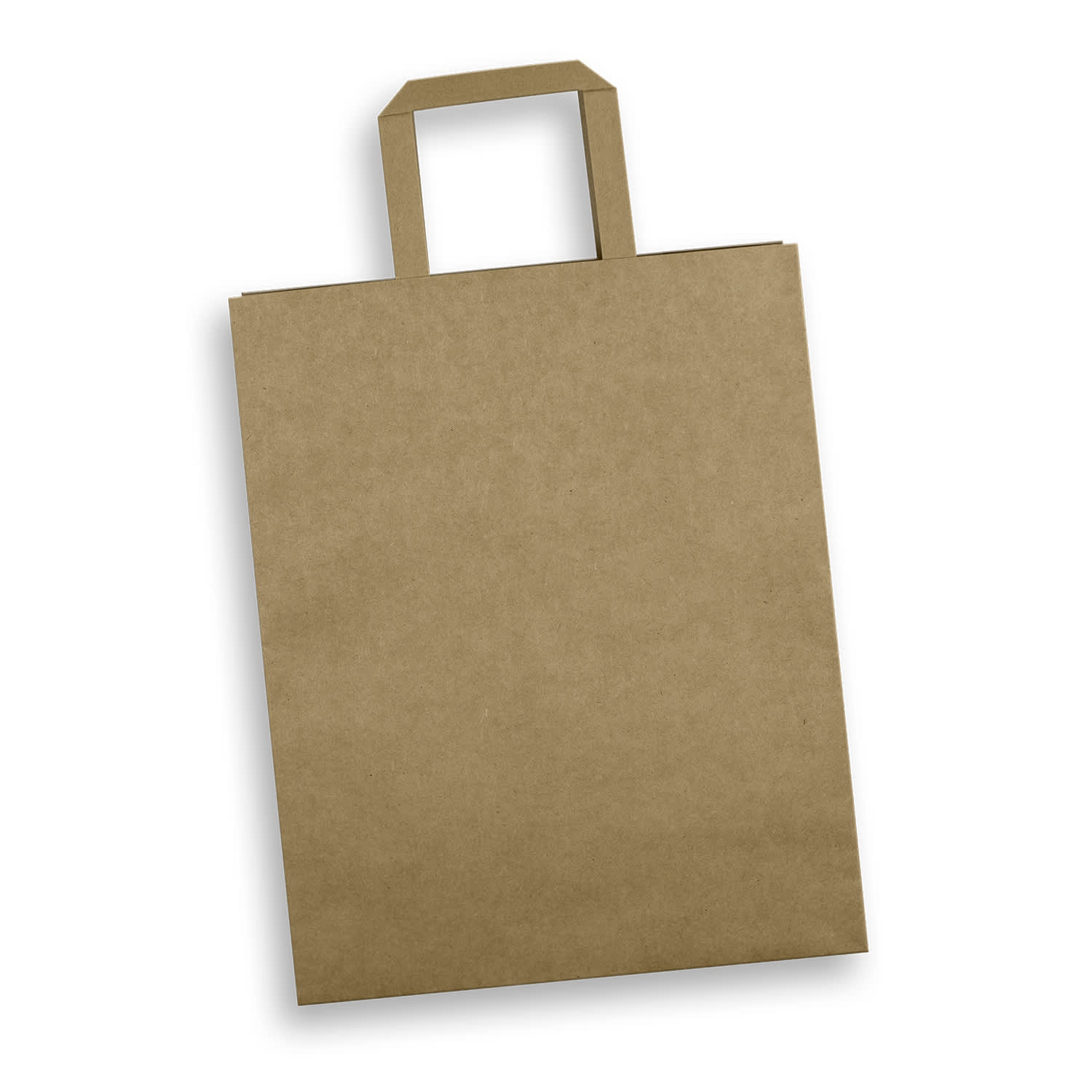 Large Flat Handle Paper Bag Portrait [3-125061]
