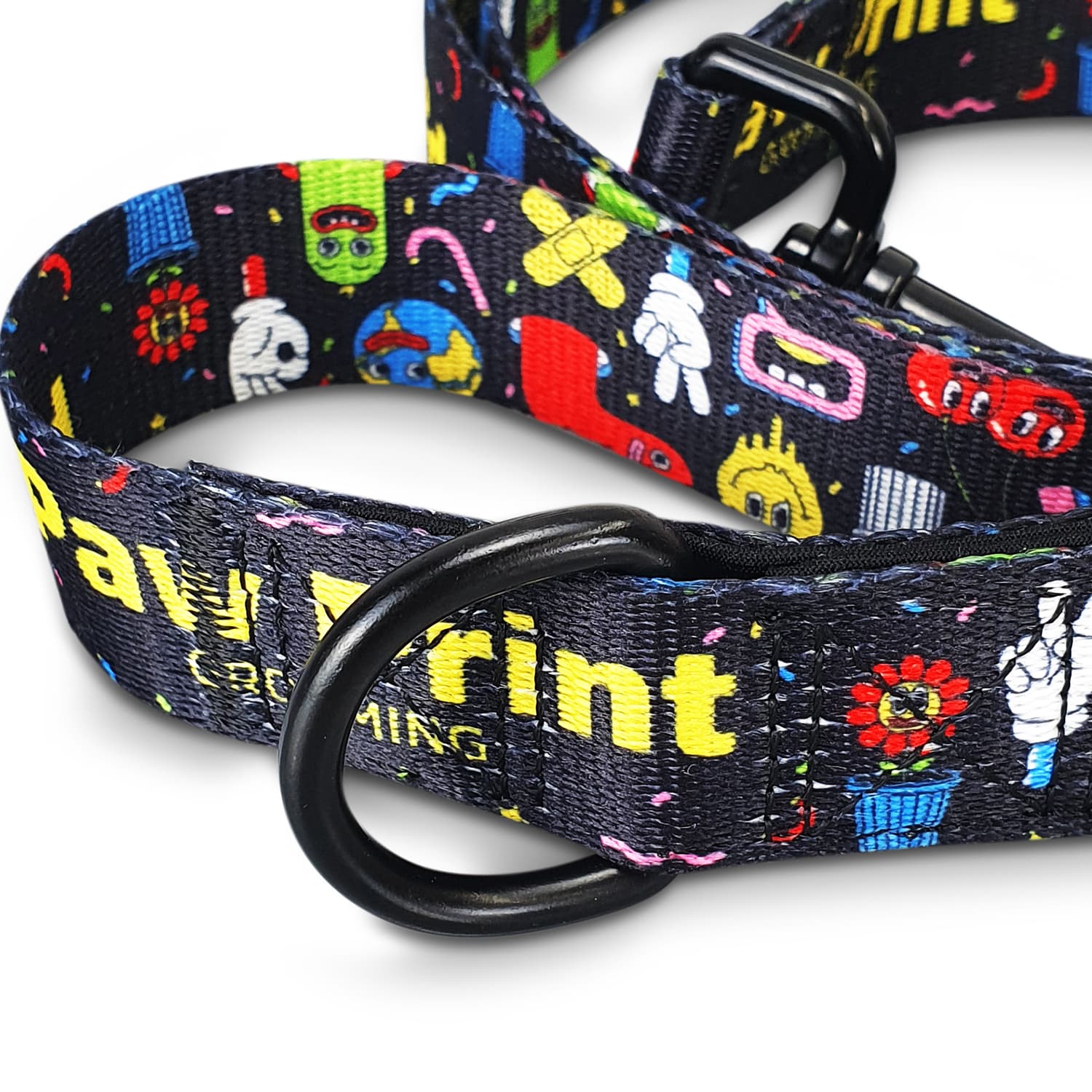 Amigo Dog Leash [3-125069]
