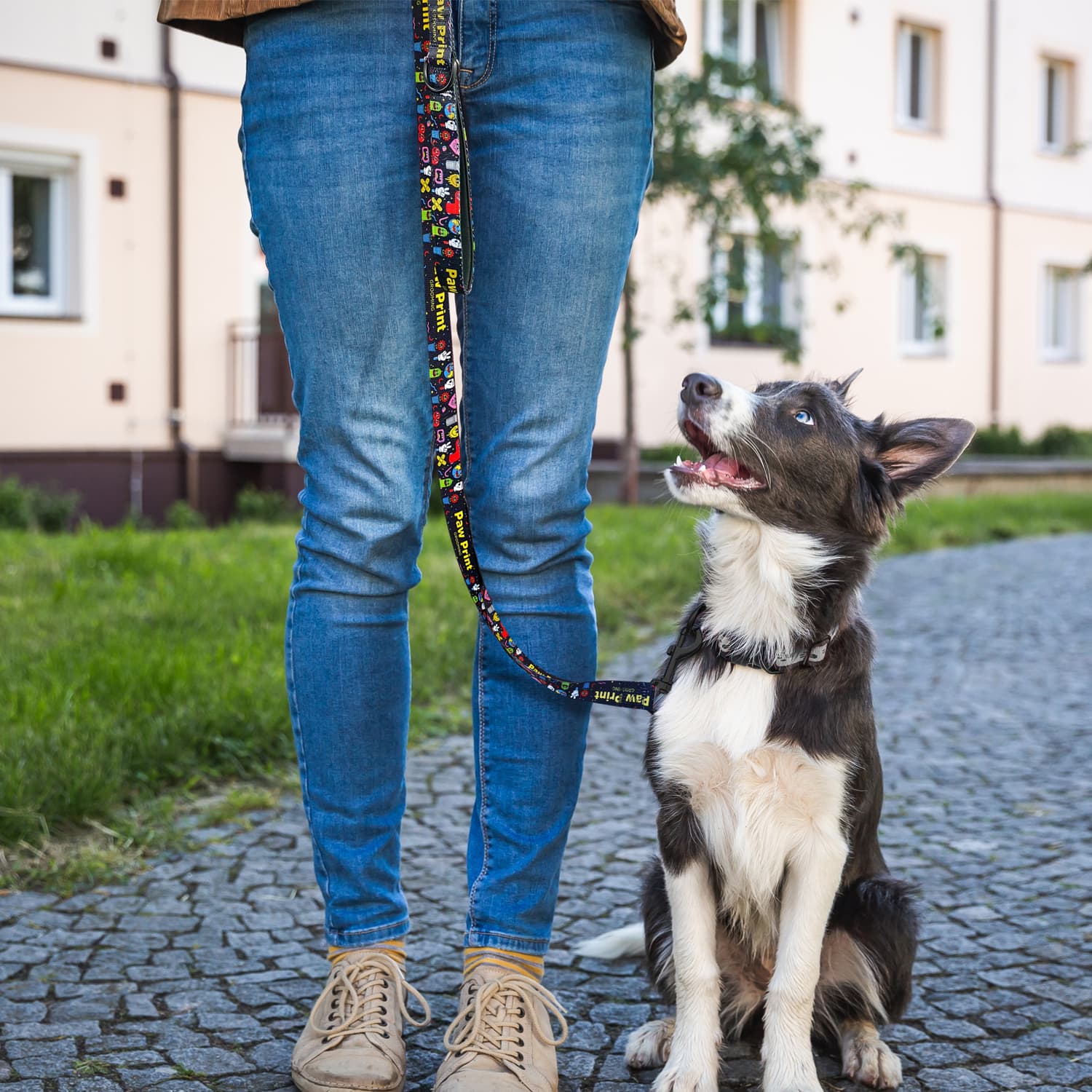 Amigo Dog Leash [3-125069]