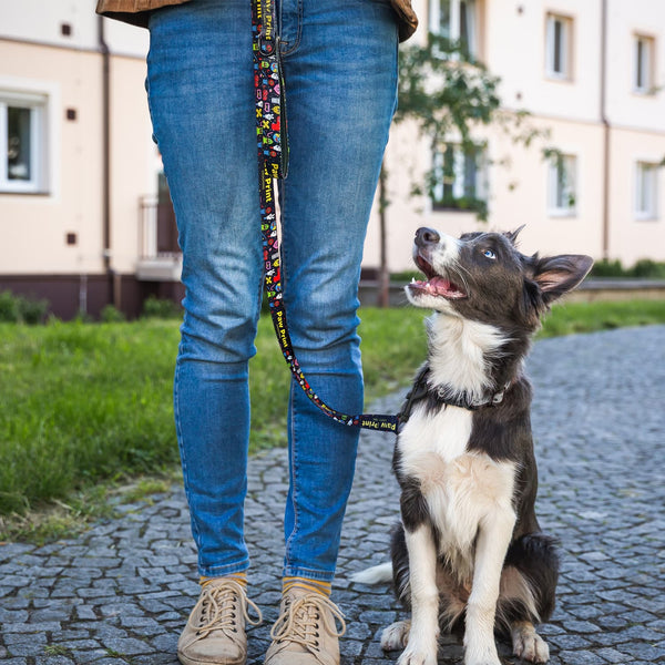 Amigo Dog Leash [3-125069]