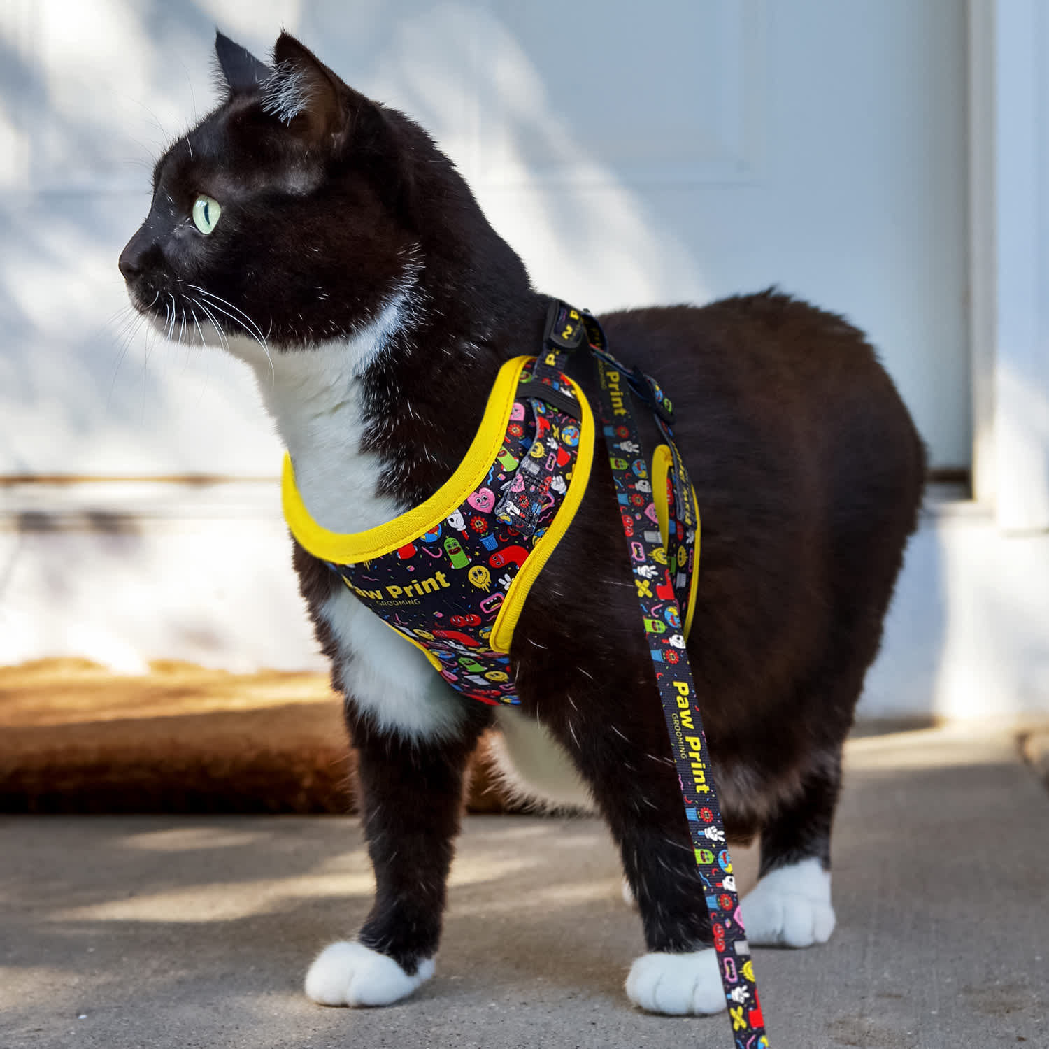 Amigo Pet Harness [3-125071]