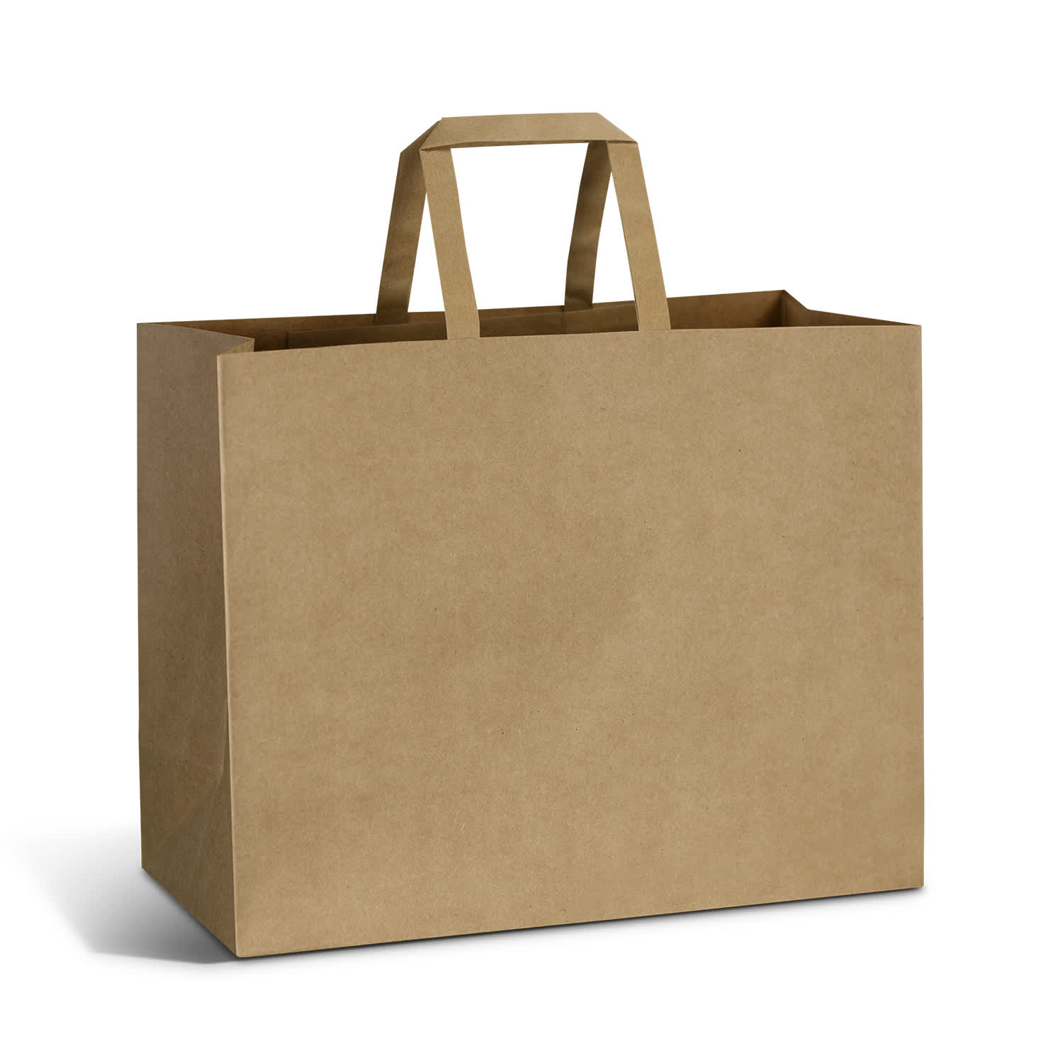 Large Flat Handle Paper Bag Landscape [3-125941]