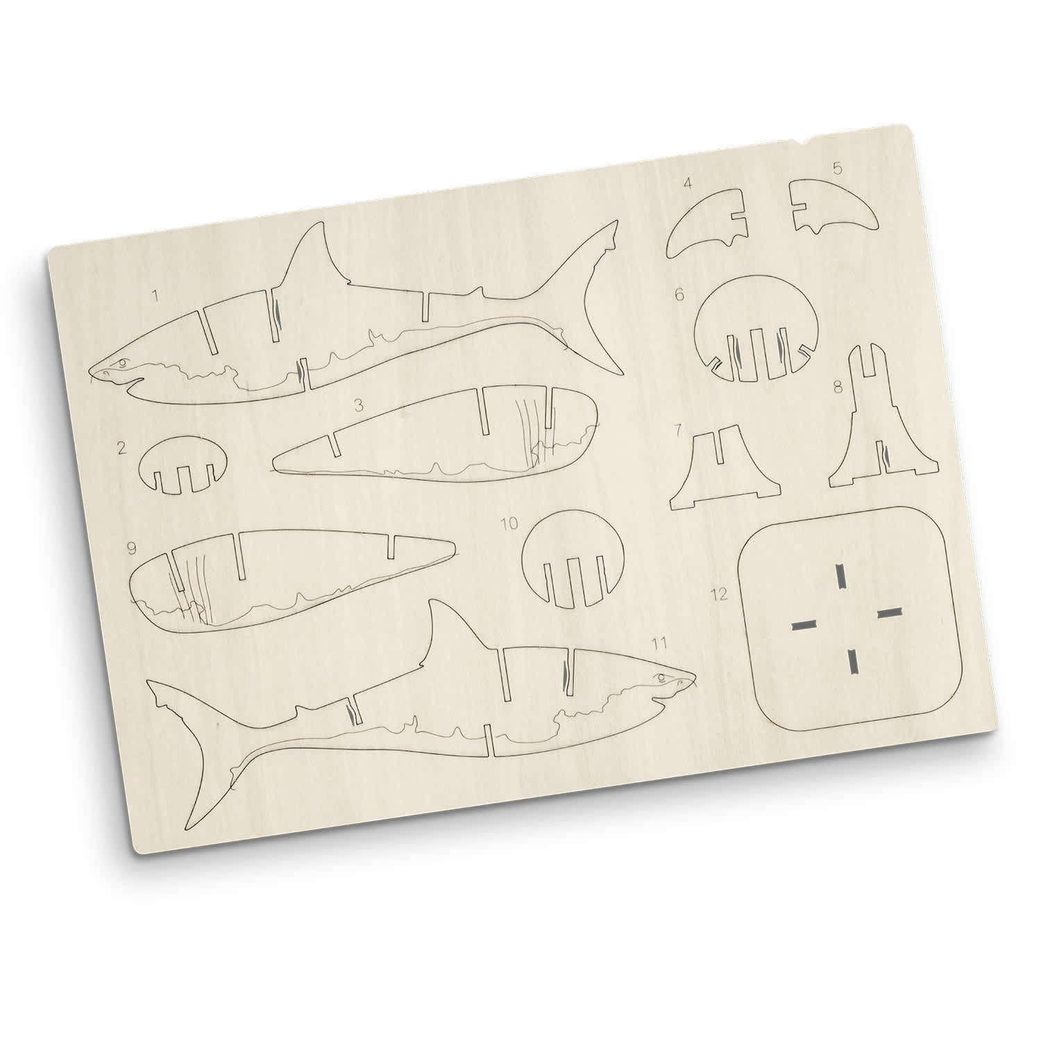 BRANDCRAFT Shark Wooden Model [3-126734]