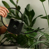 Keepsake Watering Can [3-126959]