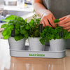 Keepsake Herb Planter [3-126961]
