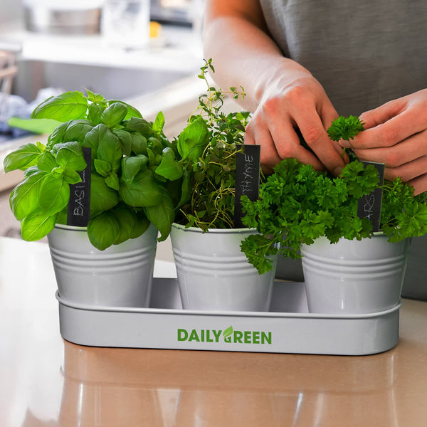 Keepsake Herb Planter [3-126961]