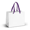 Medium Ribbon Handle Paper Bag  Full Colour [3-127178]