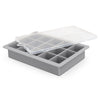 Blizzard Ice Tray with Lid [3-128024]