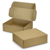 Die Cut Box with Locking Lid  502x295x150mm [3-128507]