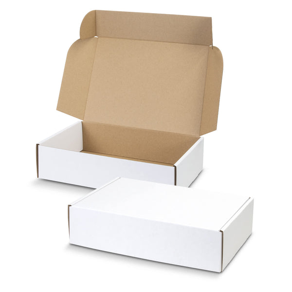 Die Cut Box with Locking Lid  300x225x75mm [3-129551]