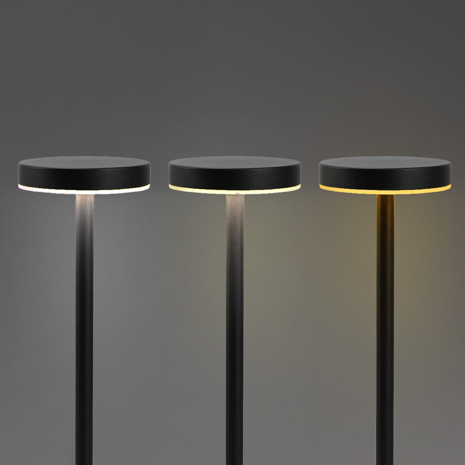 Nouveau Rechargeable Table Lamp [3-129638]