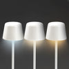 Ember Rechargeable Table Lamp [3-129643]