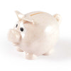 Worlds Smallest Pig Eco Coin Bank [2-LL3600]