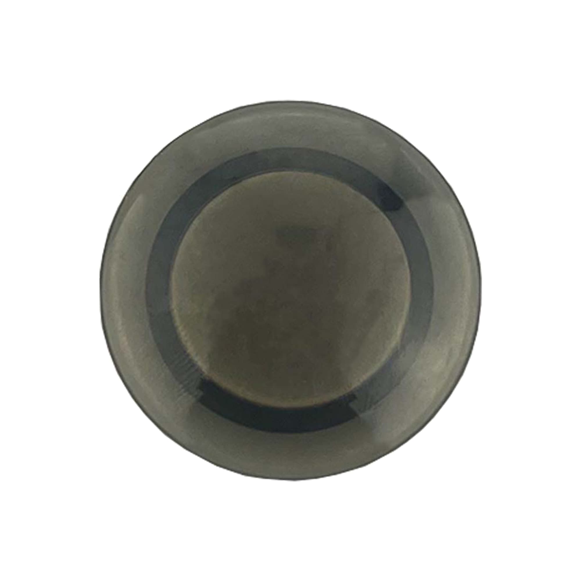 Plastic Button Magnet [19-BB011]