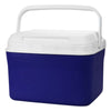 Dunkin Cooler Box 45L [19-CL001]