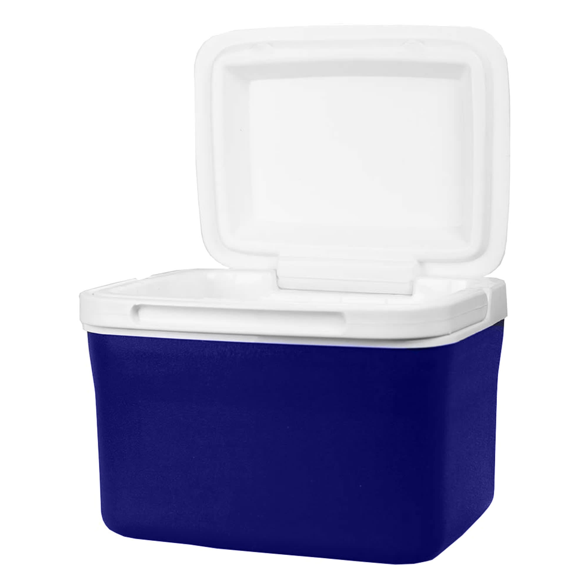 Dunkin Cooler Box 45L [19-CL001]