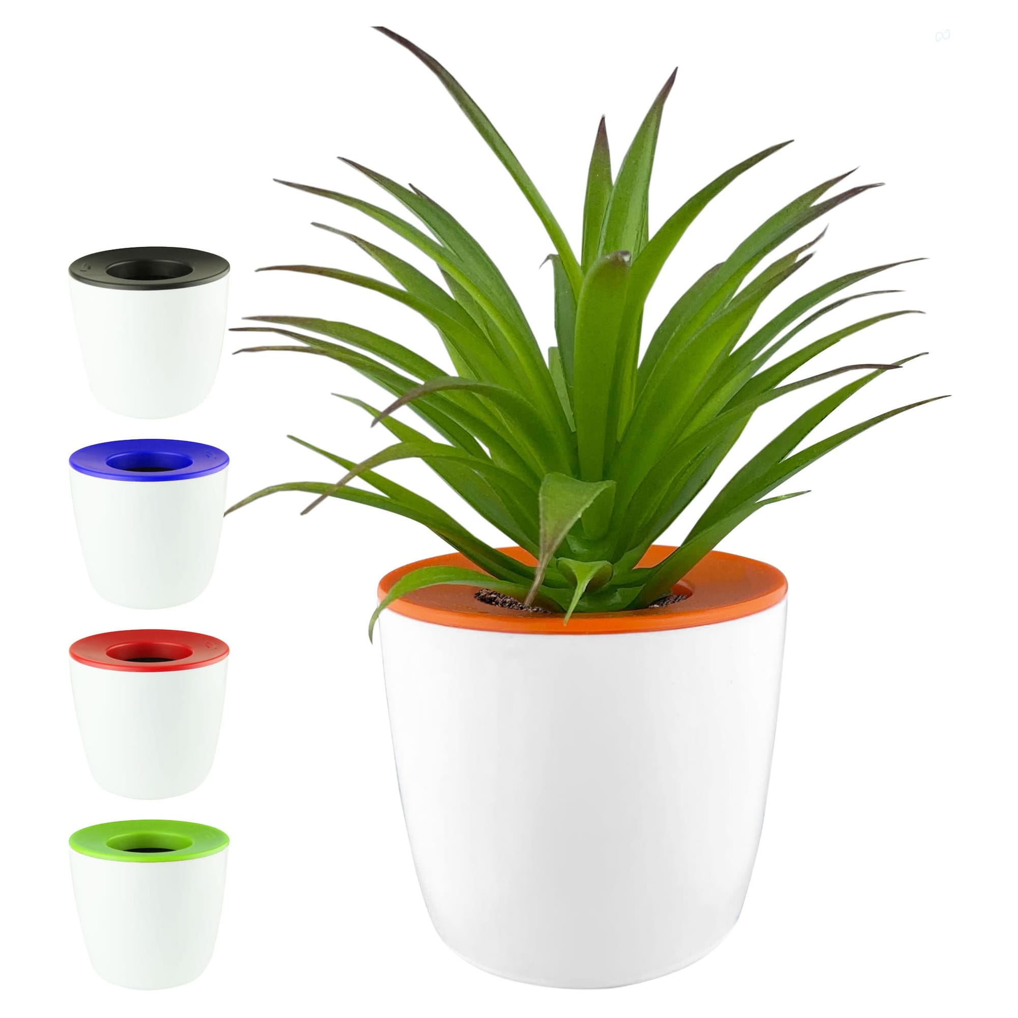 Mini Desk Plant Pot [19-DPP001]