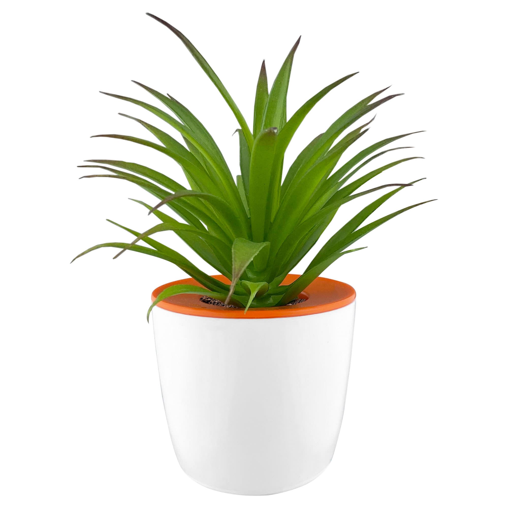 Mini Desk Plant Pot [19-DPP001]