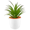 Mini Desk Plant Pot [19-DPP001]