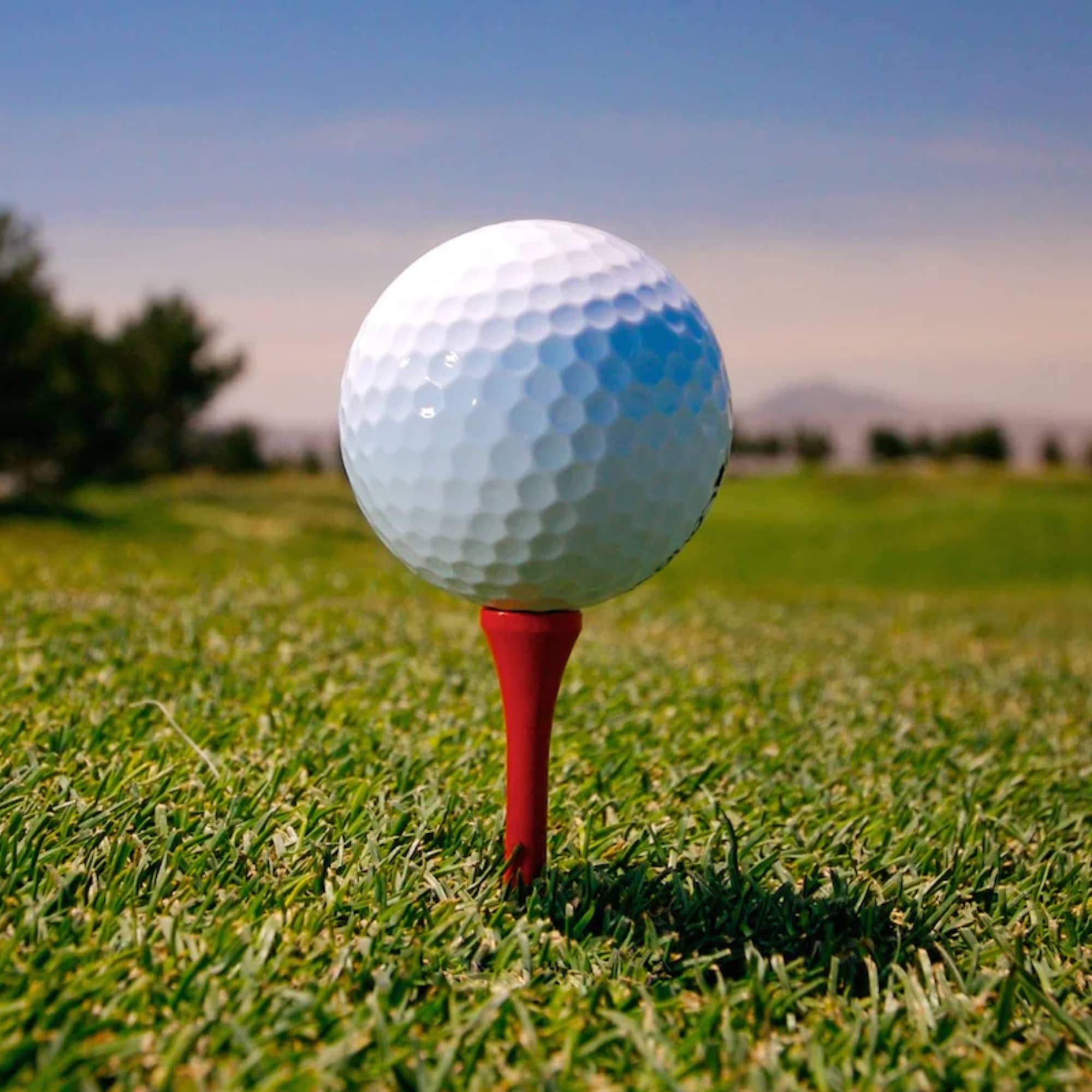 Golf Tee [19-GF002]