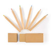 Pablo Pencil Set [2-LL1914]