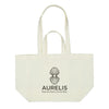 Splendid Canvas Bag [2-LL2363]