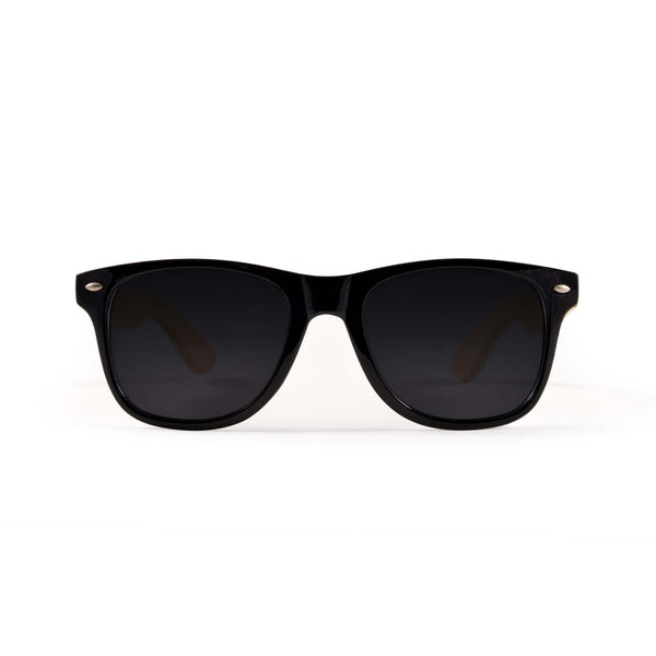 Sunglasses Pack [2-LL4563]