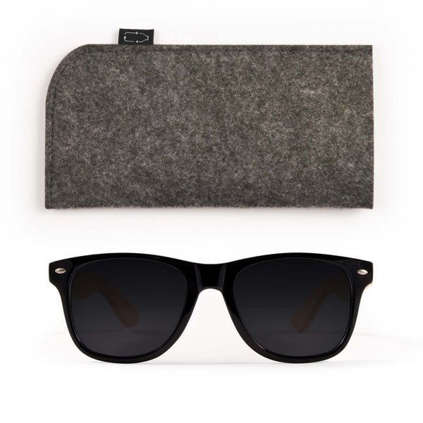 Sunglasses Pack [2-LL4563]
