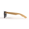 Sunglasses Pack [2-LL4563]