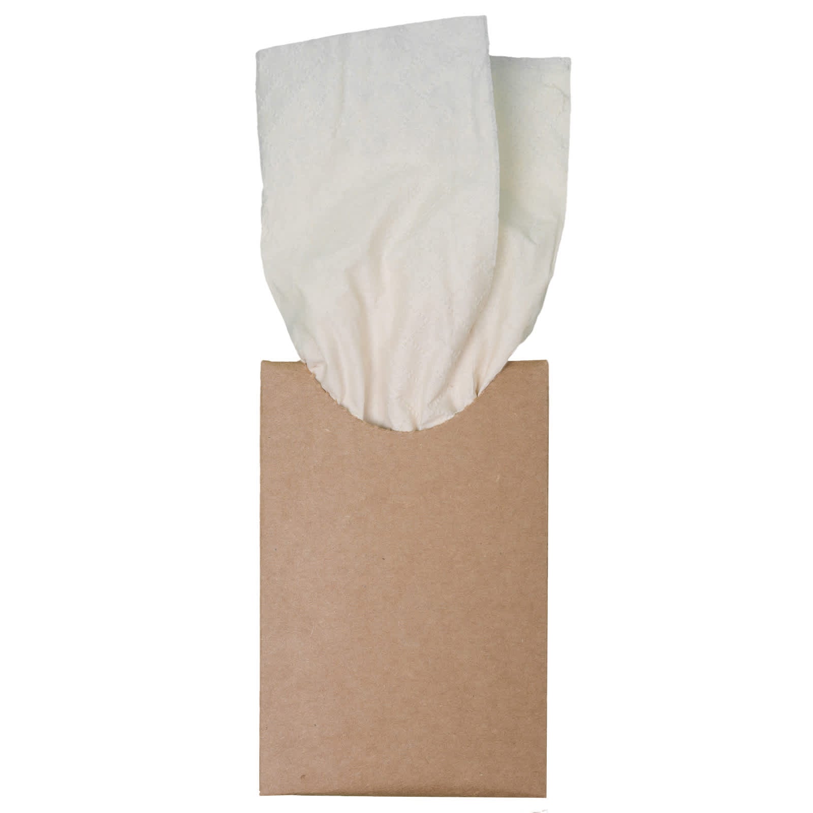 Bamboo Tissues [2-LL4683]