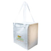 Tundra Cooler / Shopping Bag [2-LL521]