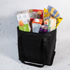 Tundra Cooler / Shopping Bag [2-LL521]