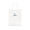 Express Paper Bag Medium [2-LL548]