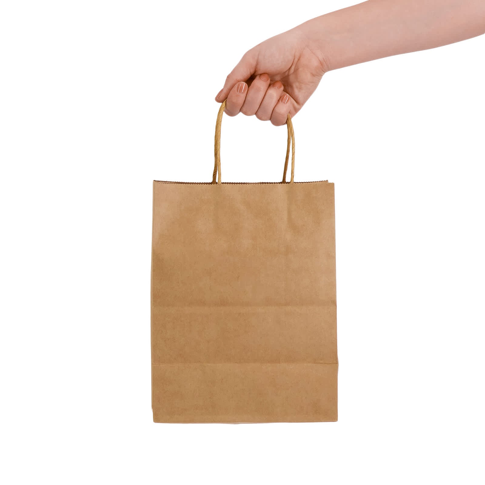 Express Paper Bag Medium [2-LL548]